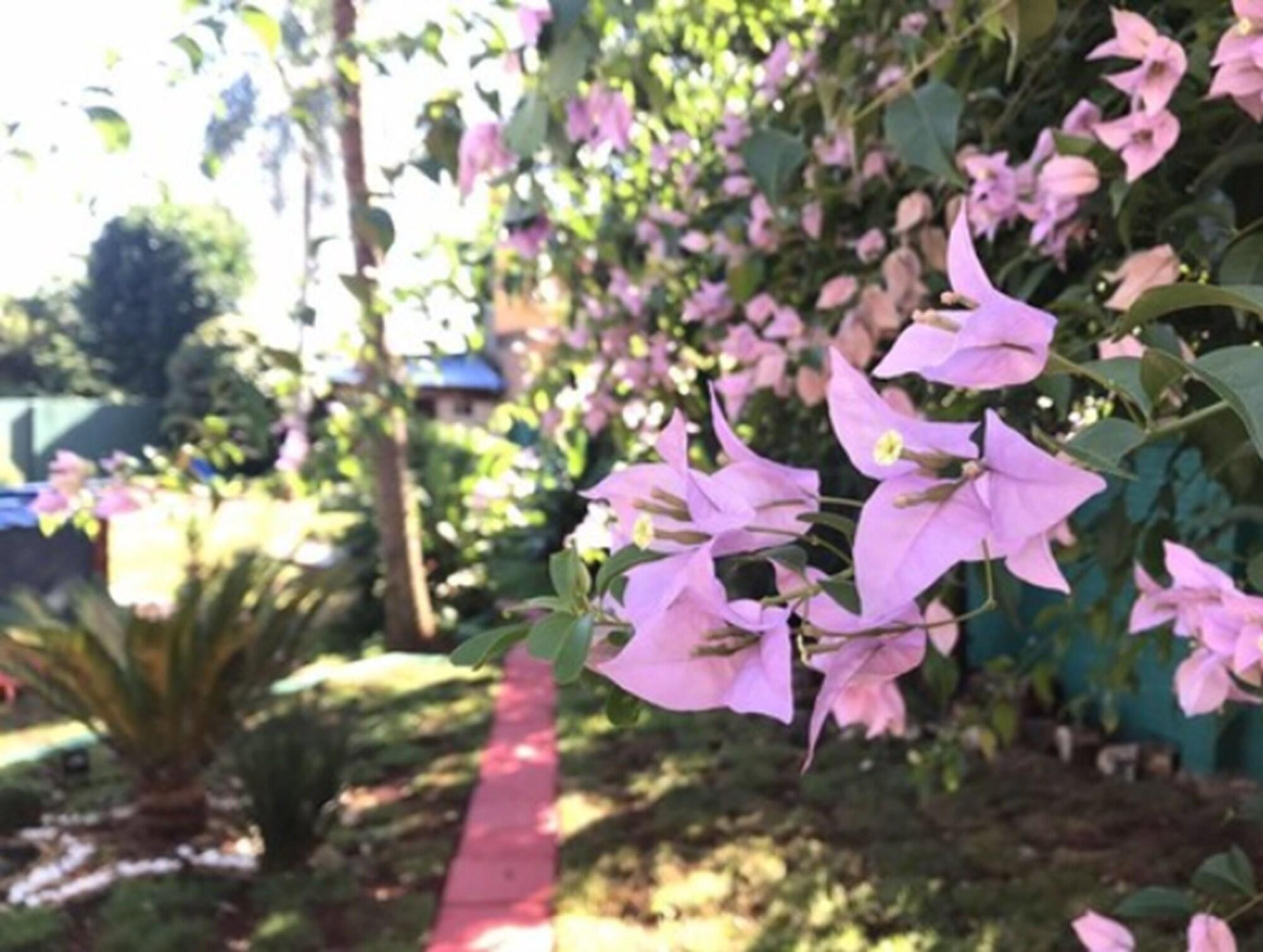 La Quinta By Wyndham Kingsville Esterno foto